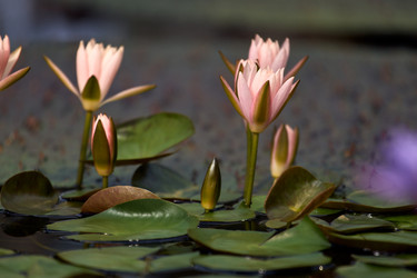 Similar image 22231886