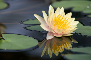 Similar image 22231887