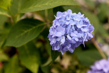 Similar image 22231891