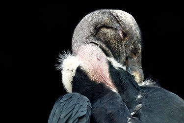 Similar image 22231892