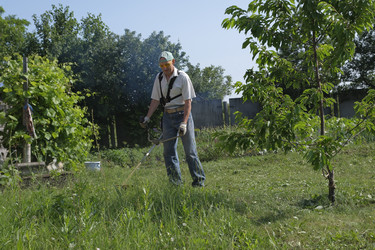 Similar image 22230711