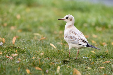 Similar image 22231948