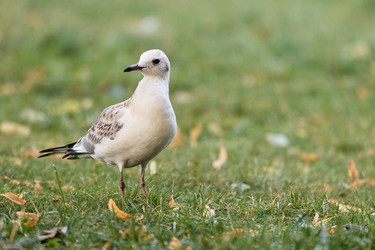 Similar image 22231949