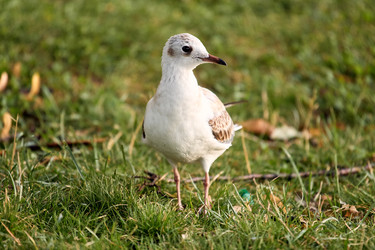 Similar image 22231952