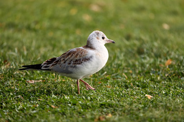 Similar image 22231953