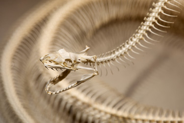 Similar image 22231958