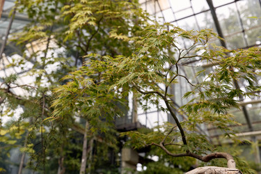 Similar image 22231959