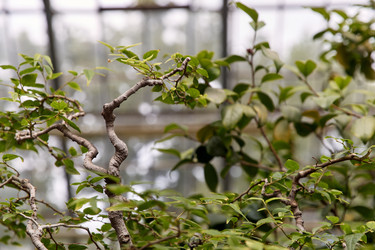 Similar image 22231960