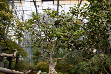 Similar image 22231961