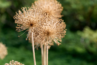 Similar image 22231962