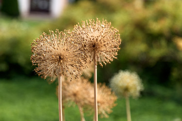 Similar image 22231963