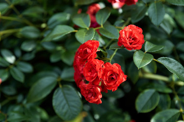 Similar image 22231964