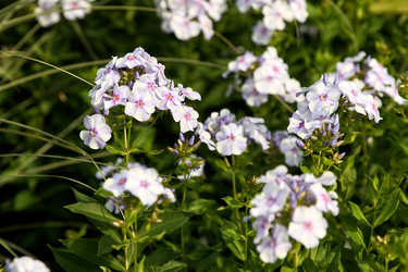 Similar image 22231965