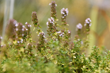 Similar image 22231966