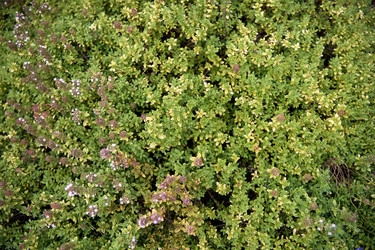 Similar image 22231967