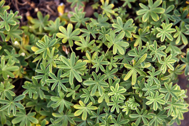 Similar image 22231968