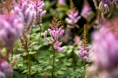 Similar image 22231969