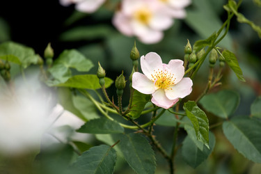 Similar image 22231971