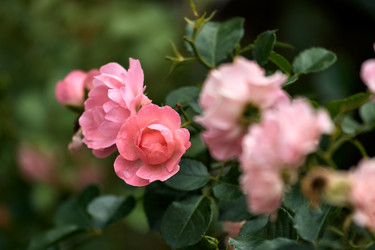 Similar image 22231972