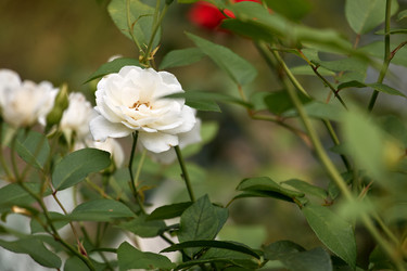 Similar image 22231973