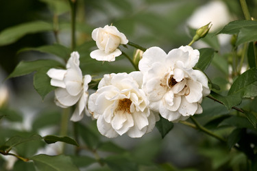 Similar image 22231974