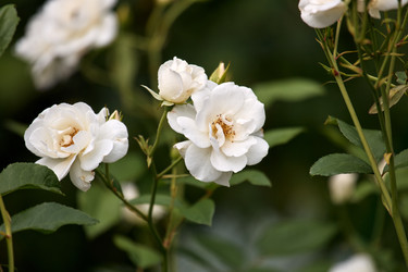 Similar image 22231975