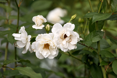 Similar image 22231976