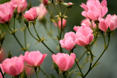 Similar image 22231977