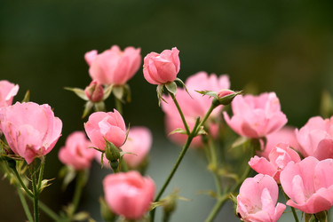 Similar image 22231978