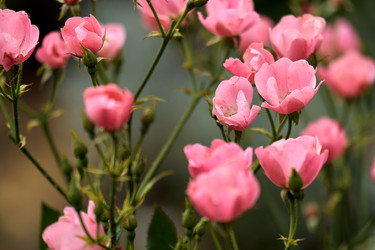 Similar image 22231979