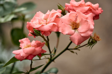 Similar image 22231980