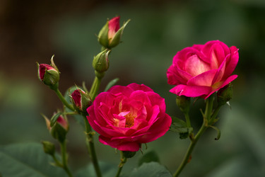 Similar image 22231981