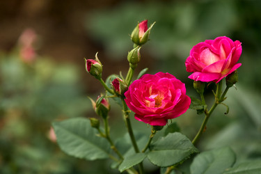 Similar image 22231982