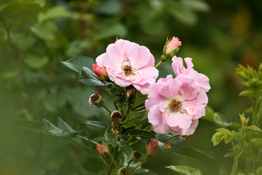 Similar image 22231983