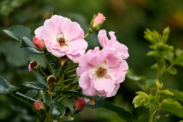 Similar image 22231984