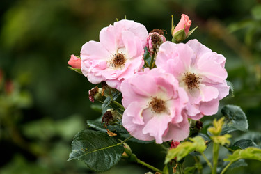 Similar image 22231985