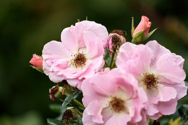 Similar image 22231986