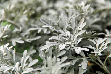 Similar image 22231987