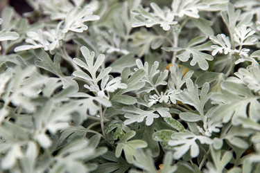 Similar image 22231988