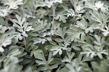 Similar image 22231989