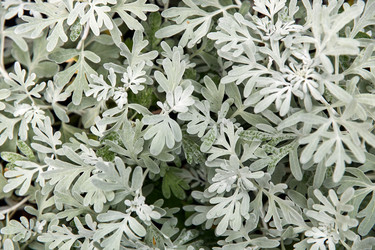 Similar image 22231990