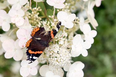 Similar image 22231991