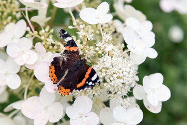 Similar image 22231992