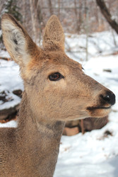 Similar image 22229739