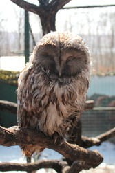 Similar image 22229741