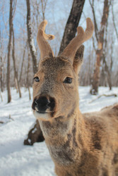 Similar image 22229743