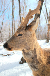 Similar image 22229744