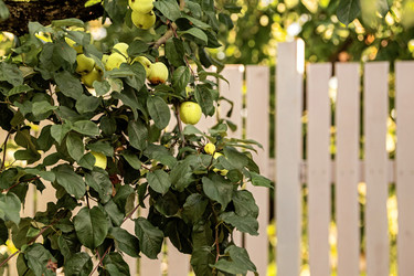 Similar image 22229745