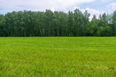 Similar image 22230342