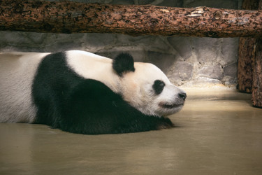 Similar image 22230344